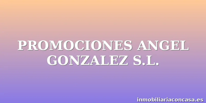 PROMOCIONES ANGEL GONZALEZ S.L.