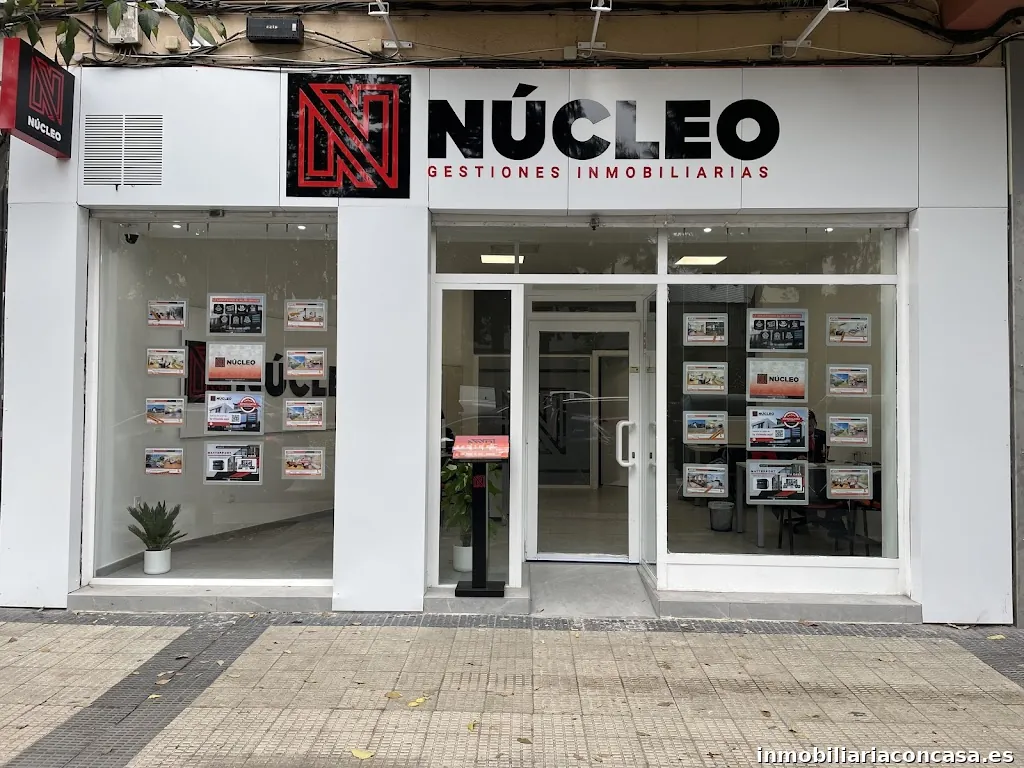 Inmobiliaria Picarral Zaragoza - Núcleo