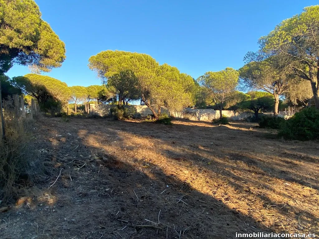 Pirenilla Gestion Inmobiliaria