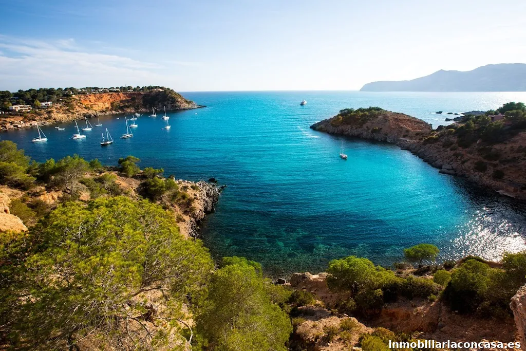 Estela Exclusive Homes | Christie's International Real Estate