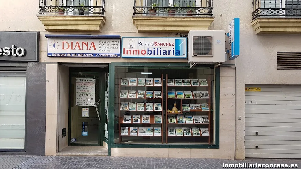 INMOBILIARIA SERGIO SANCHEZ