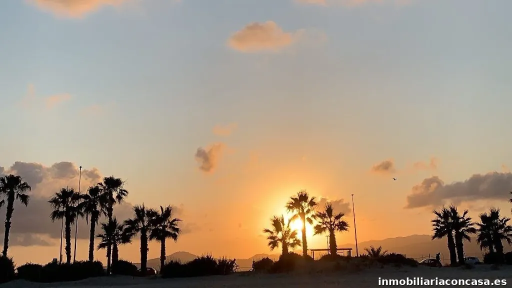 Lucas Castro asesor inmobiliario Oropesa del Mar (iad España)