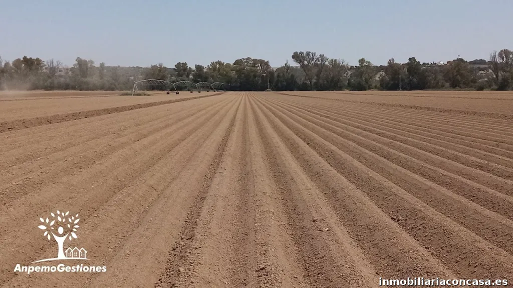 Inmobiliaria AnpemoGestiones