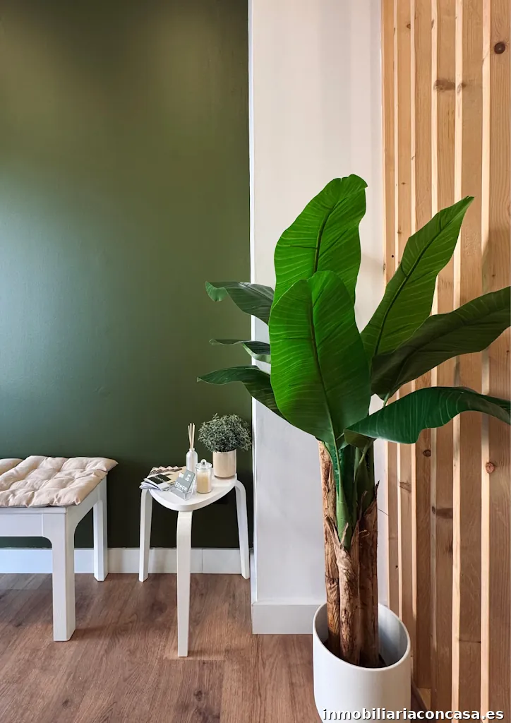 SOMON Inmobiliaria | Tu agencia inmobiliaria en Valencia