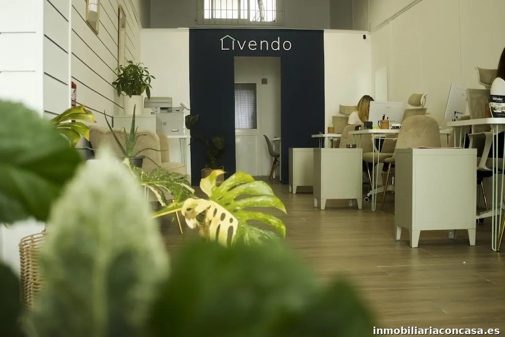 Livendo Agencia Inmobiliaria - San Fernando