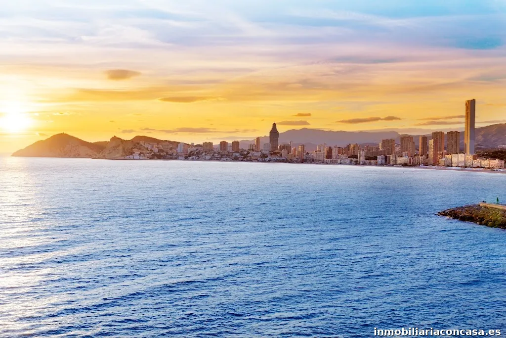 Rex Invest Real Estate