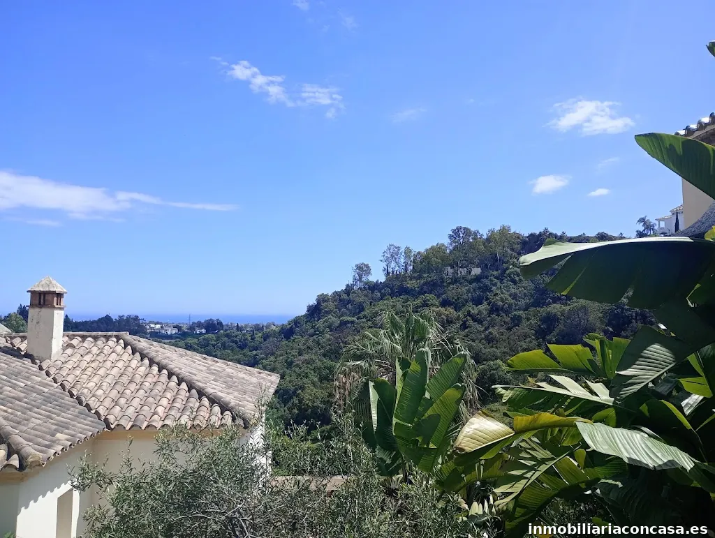 Benjamín Zeehandelaar Real Estate