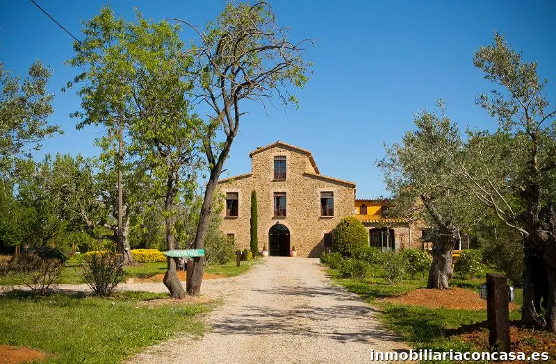 innova finques immobiliaria