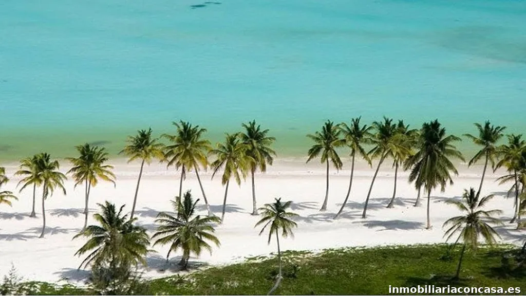 Roes International by eXp Realty