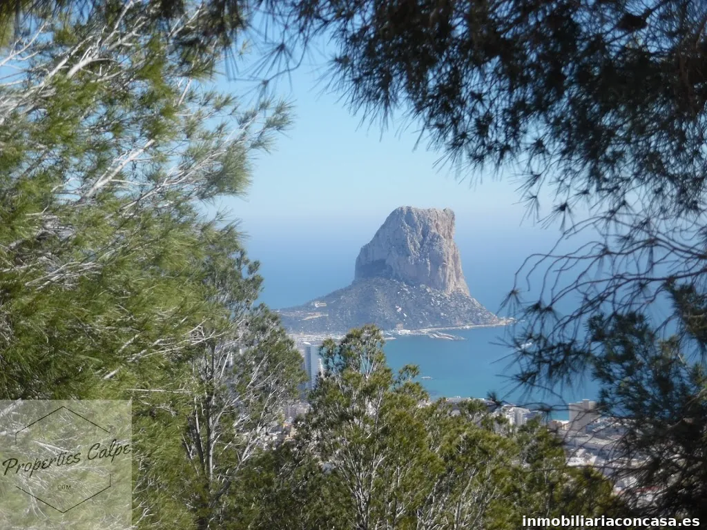 Properties Calpe