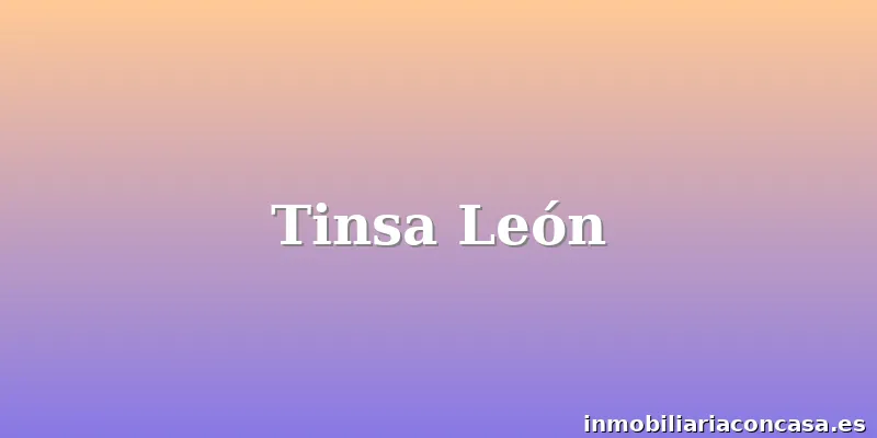Tinsa León