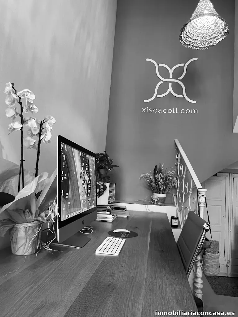 Xisca Coll Immobiliària