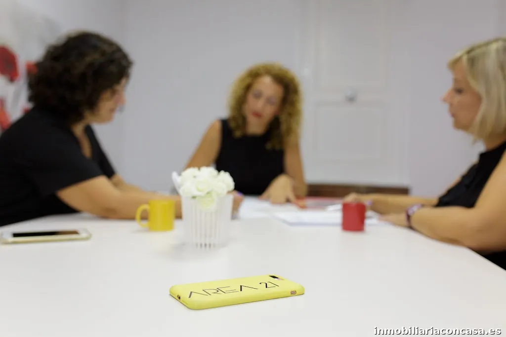 AREA 21 INMOBILIARIA