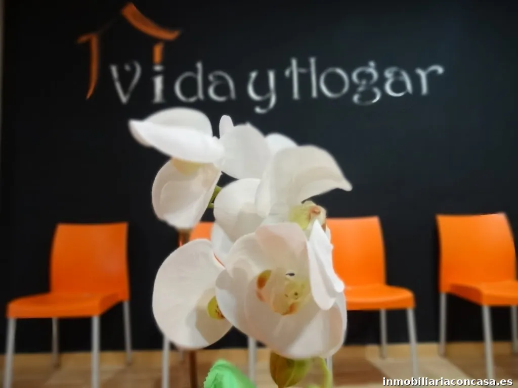 Vida y Hogar Servicios Inmobiliarios SL