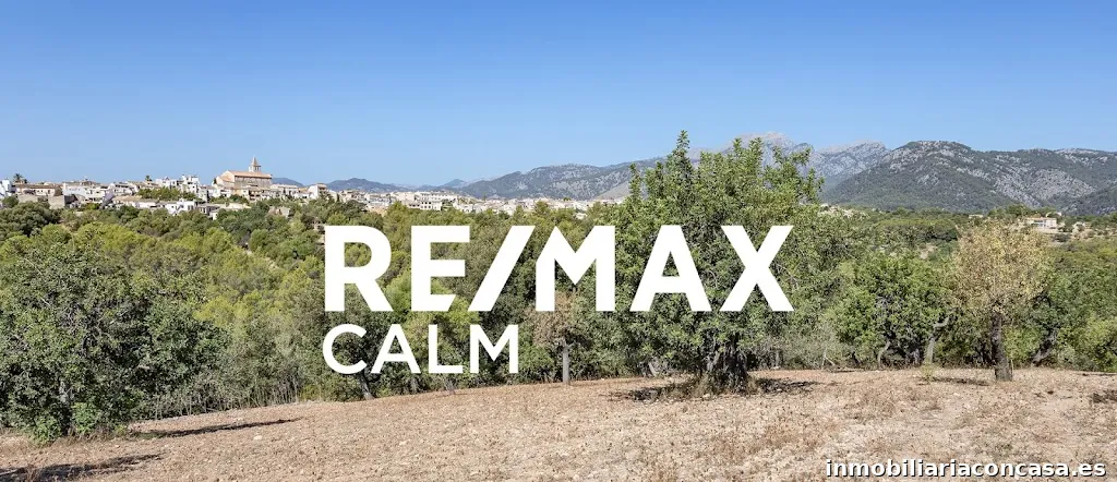 RE/MAX Calm Inmobiliaria Mallorca