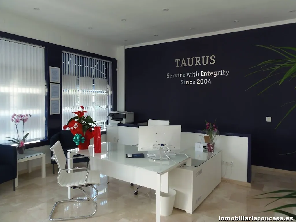 Taurus Real Estate Spain SL