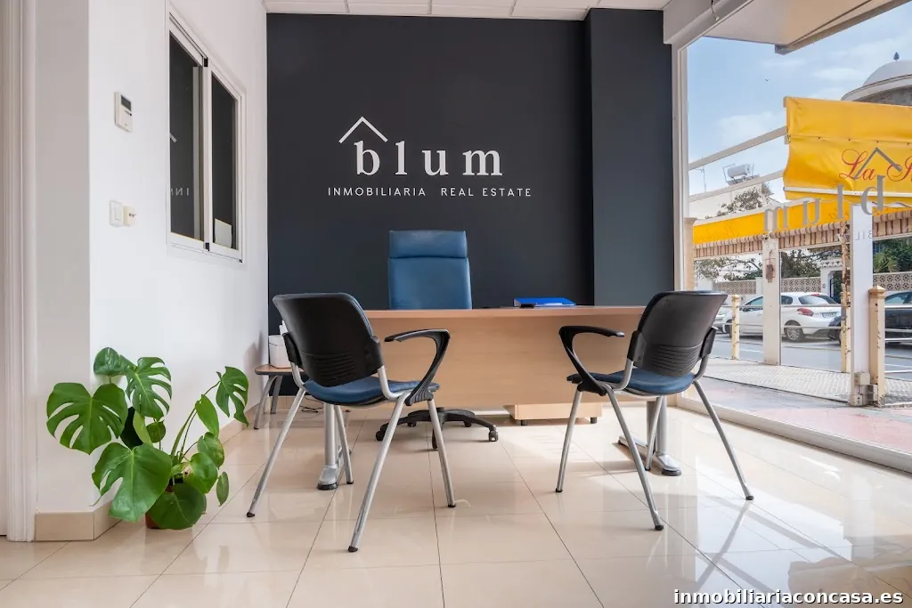 Blum Inmobiliaria