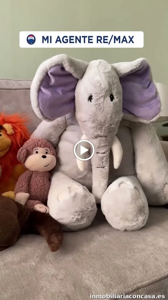 MANUEL PRATS asesor inmobiliario RE/MAX