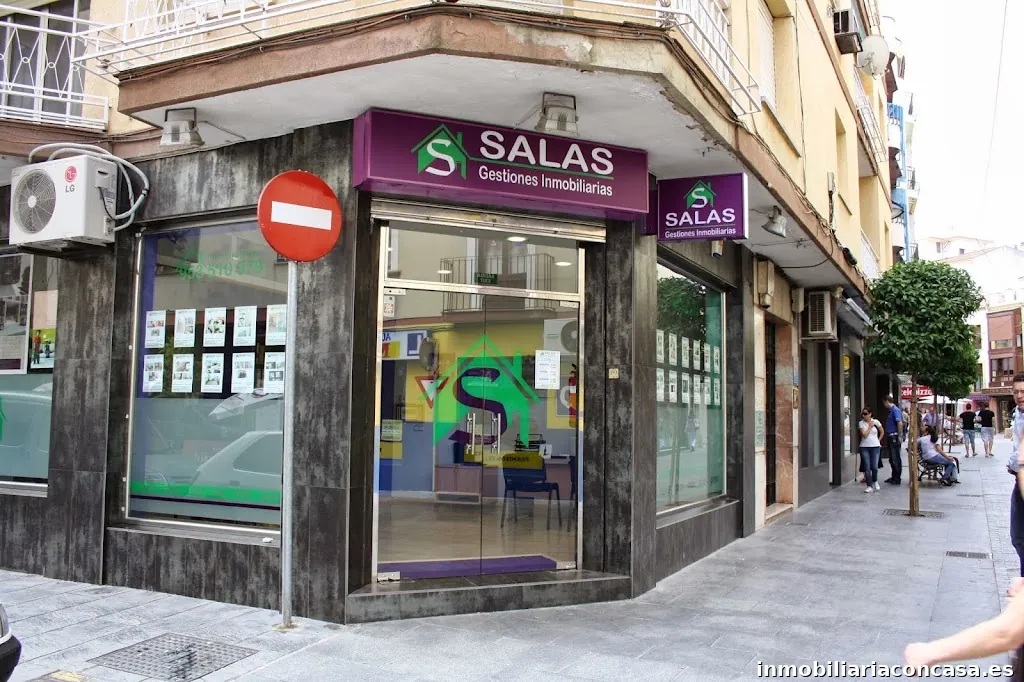 Inmobiliaria Salas