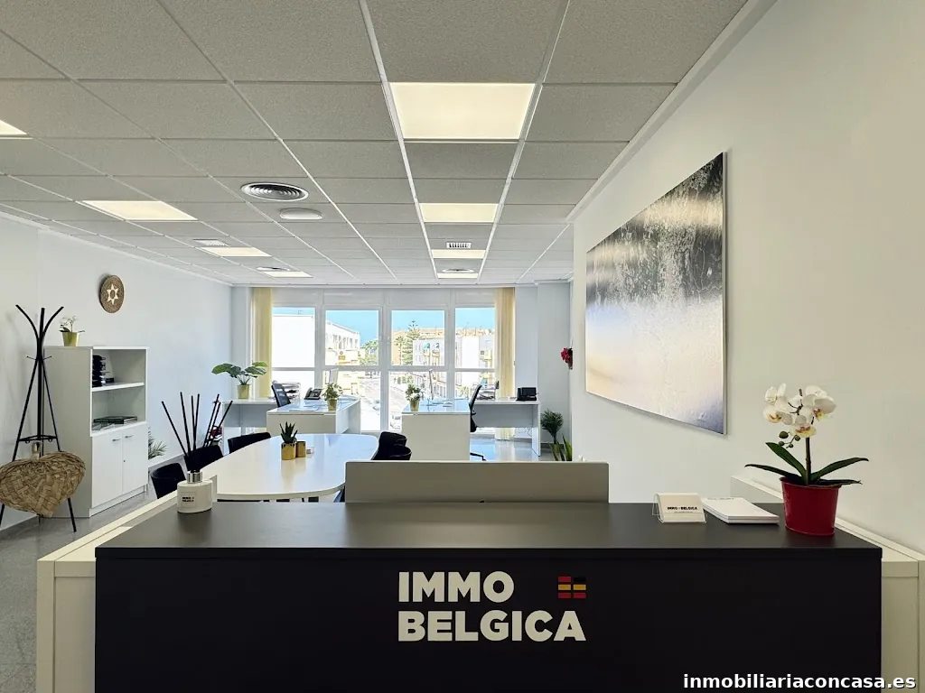 Immo Belgica