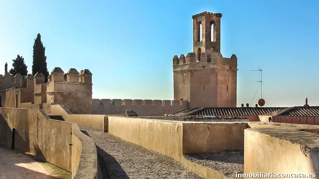 Inmobiliaria Alcazaba