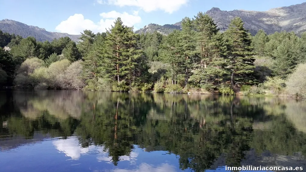 Ana Garcia - Gestion Inmobiliaria