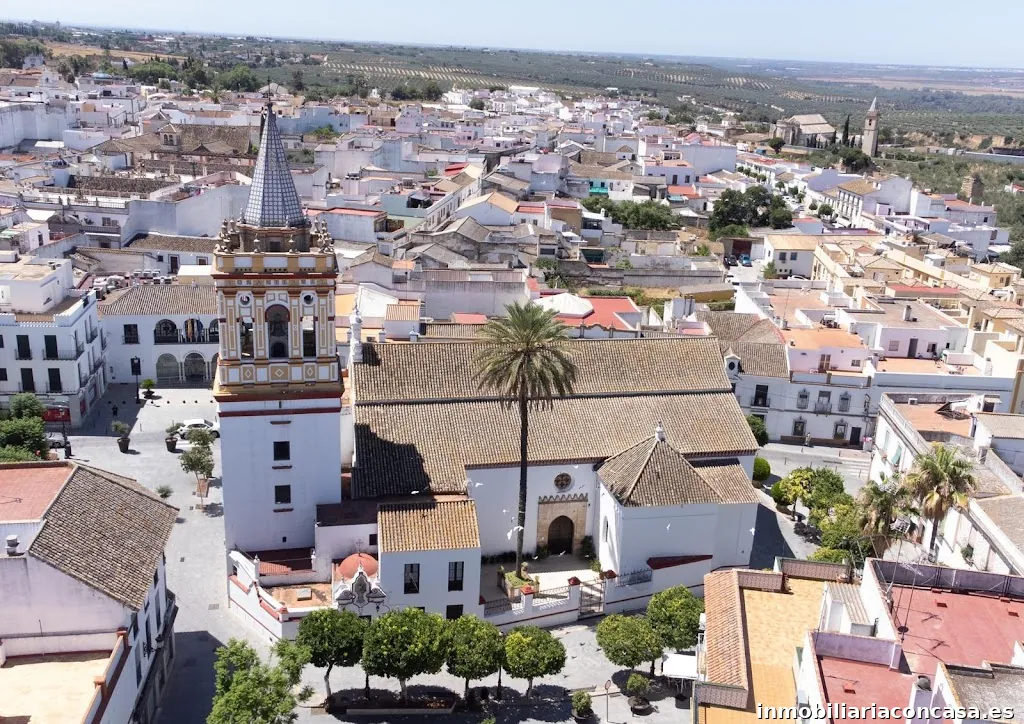 Tecnocasa Agencia Inmobiliaria