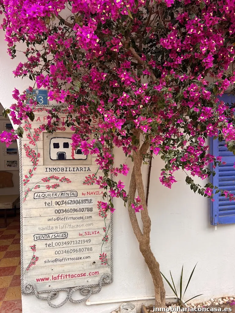 Laffittacase Formentera