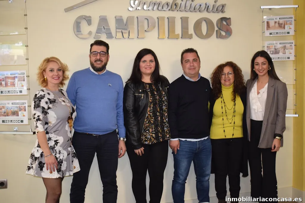 INMOBILIARIA CAMPILLOS