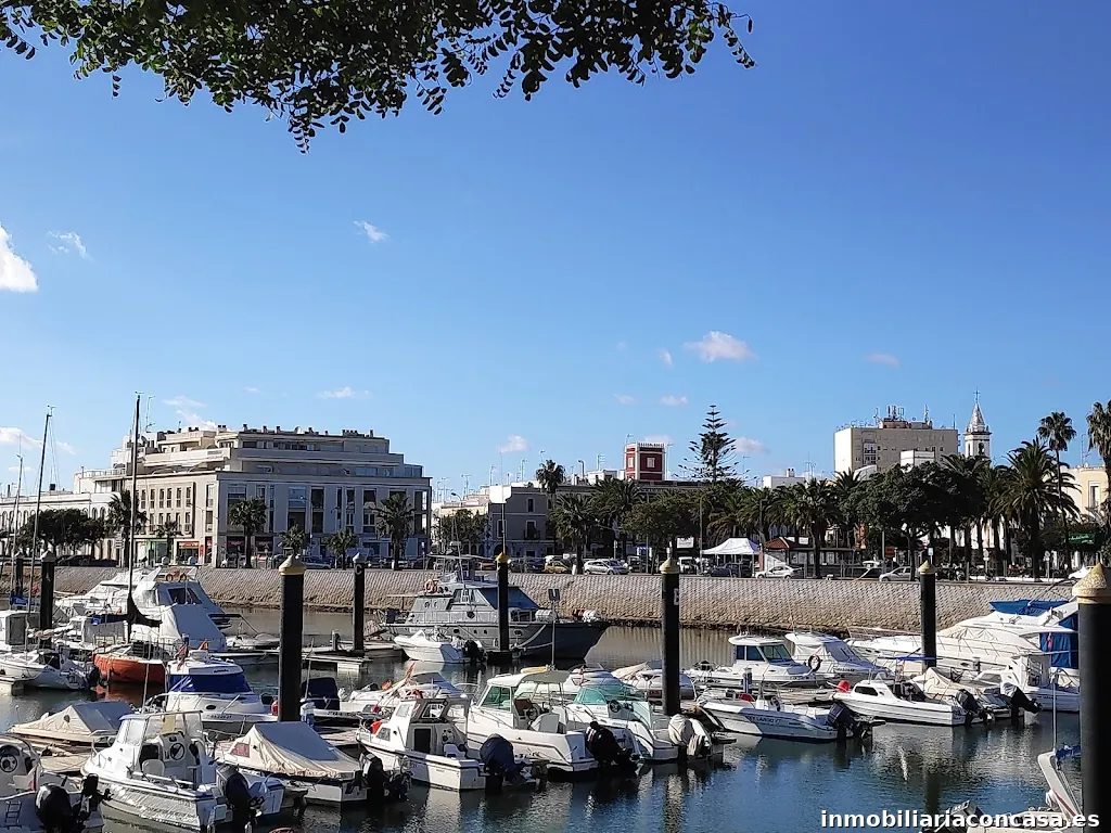 Ana Araujo Asesora Inmobiliaria RE/MAX