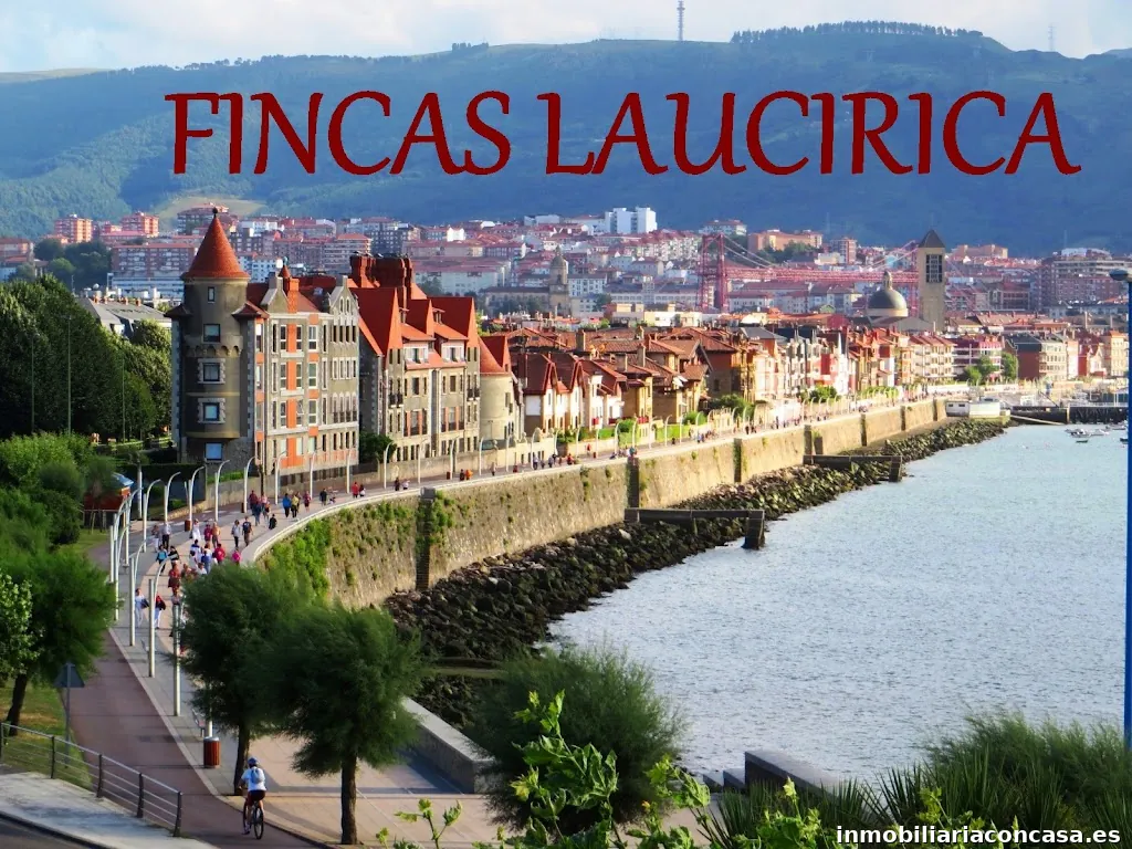 Fincas Laucirica