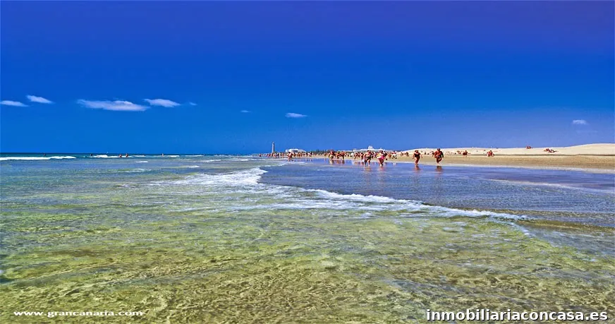 Inmobiliaria Maspalomas Homes