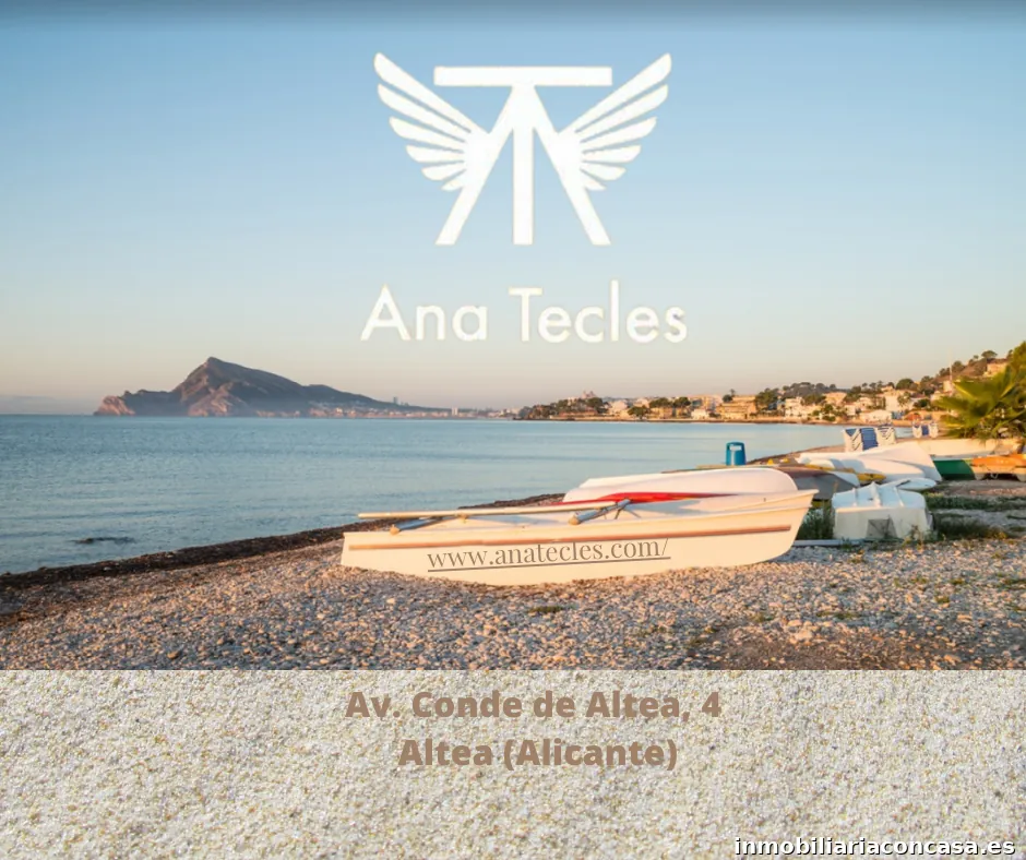 Ana Tecles Real Estate