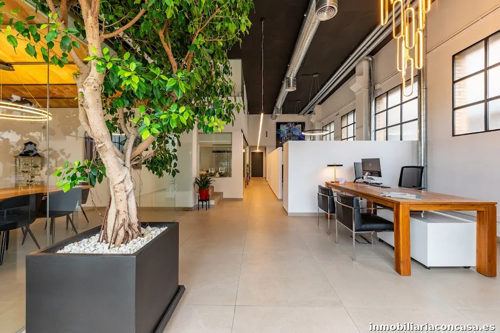 Assessors Immobiliaris Setclaus