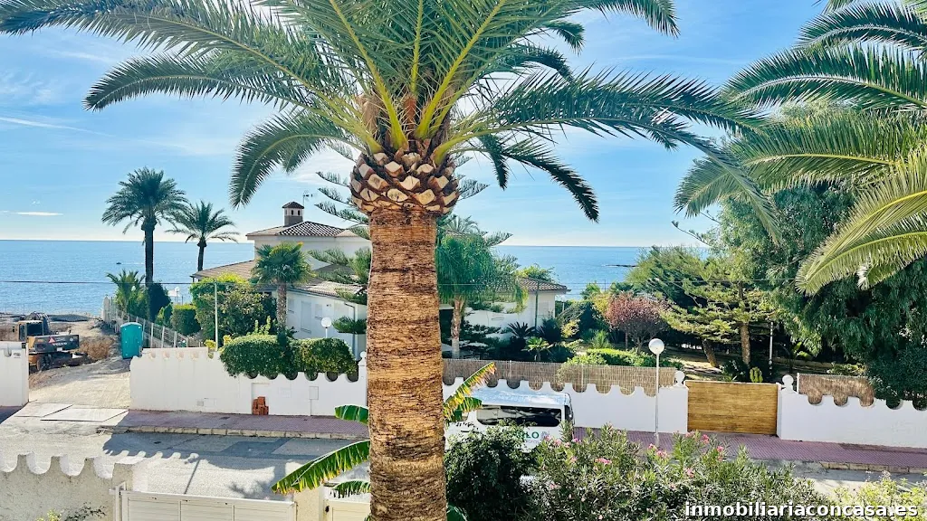 Danielle Croese IAD España