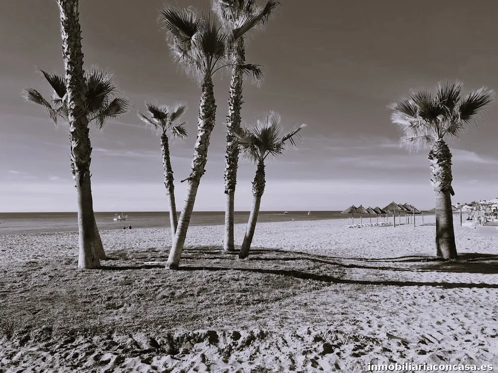 La Cala Sales and Rentals