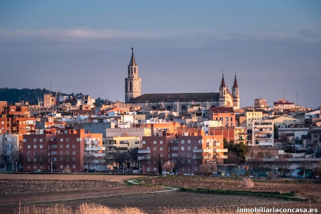 Inmobiliaria Miró Vilafranca