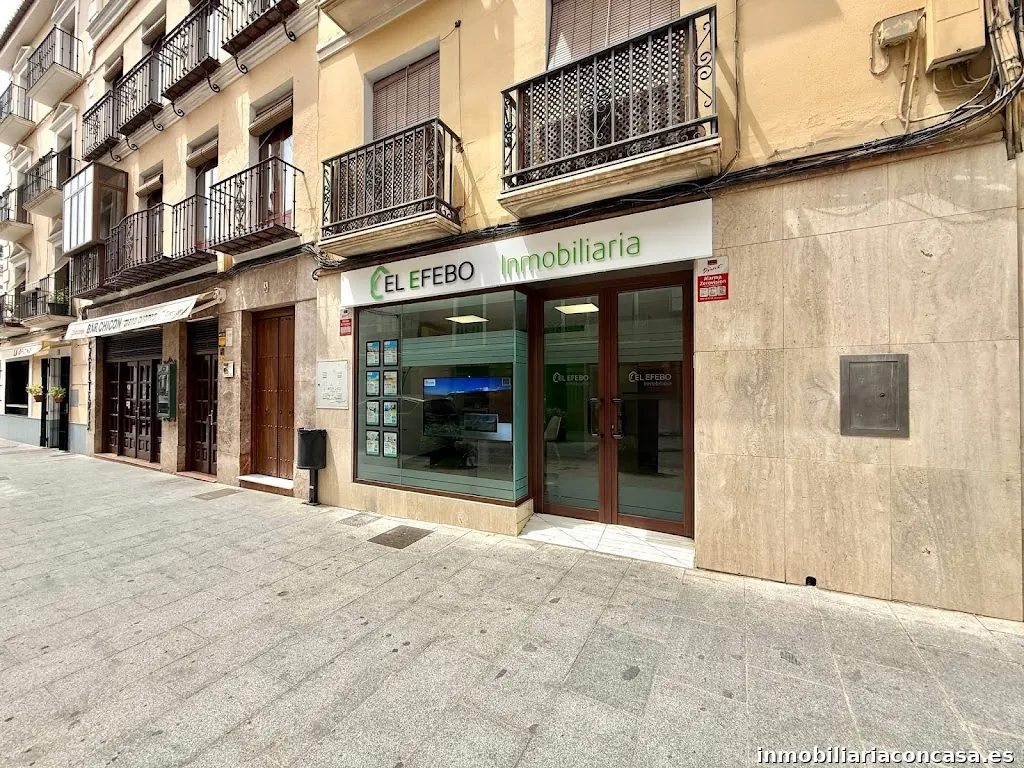 EL EFEBO Inmobiliaria | Antequera