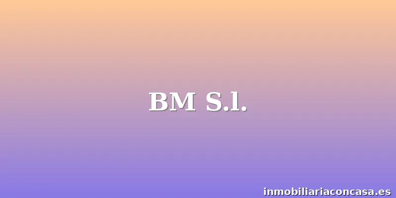 BM S.l.