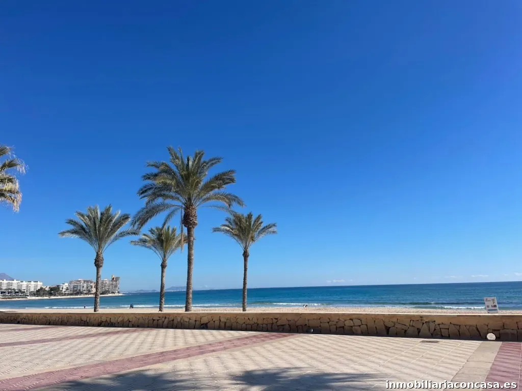 Amura Inmobiliaria Alicante