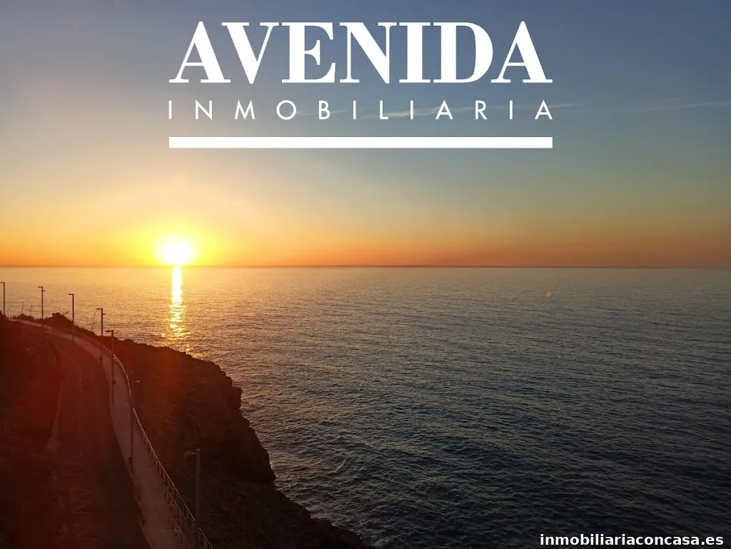 INMOBILIARIA AVENIDA