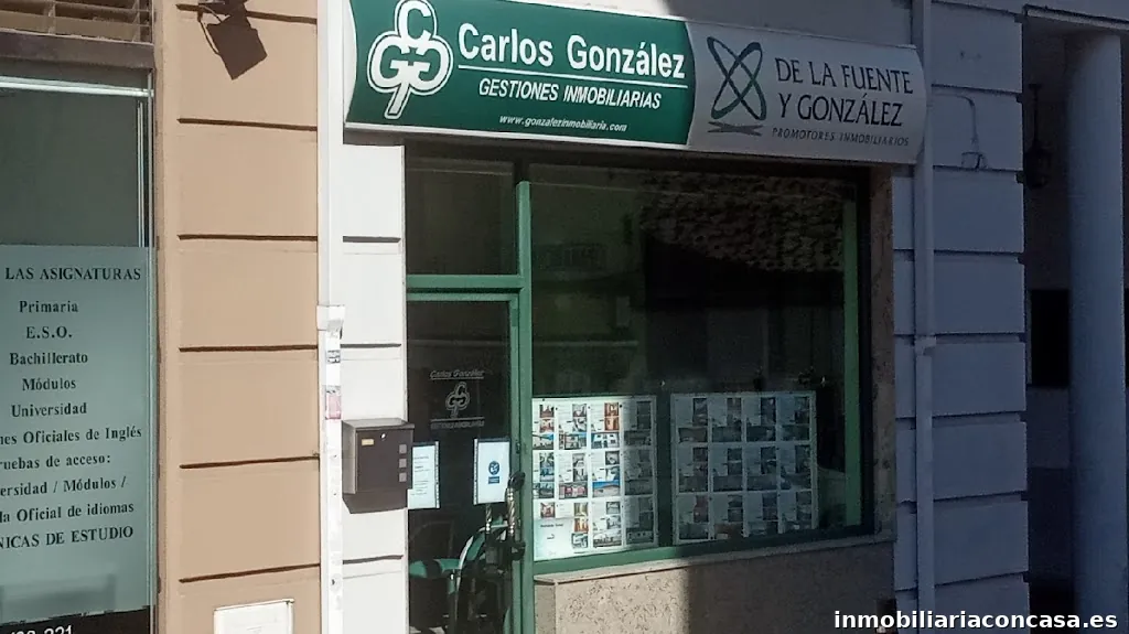 Inmobiliaria C. González