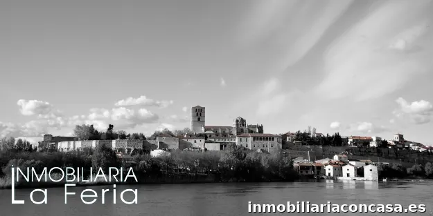 Inmobiliaria La Feria