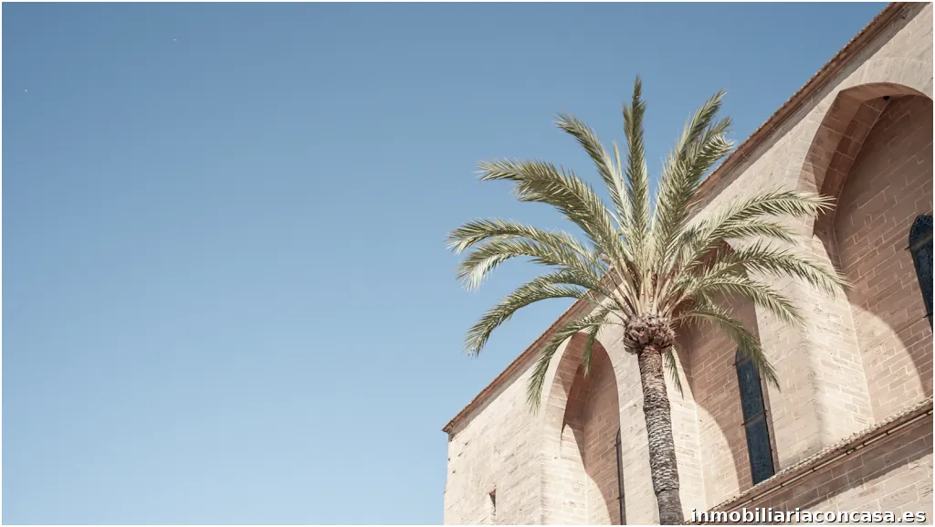 DAHLER Mallorca Alcúdia