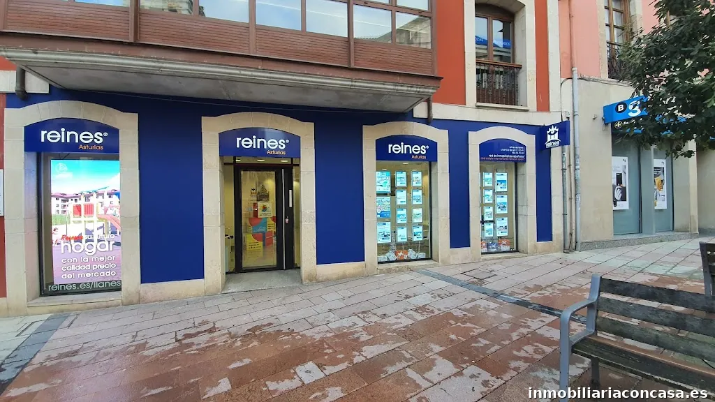 reines red de inmobiliarias españolas