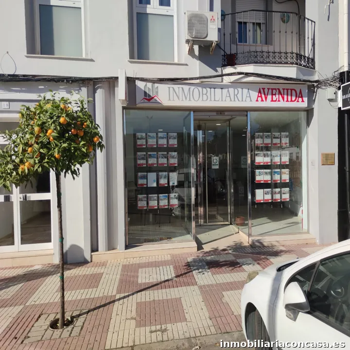Inmobiliaria Avenida Palma del Río