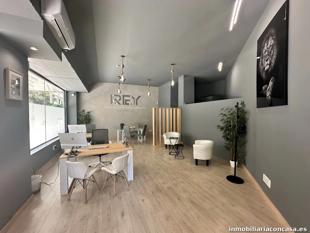 REY SERVICIOS INMOBILIARIOS