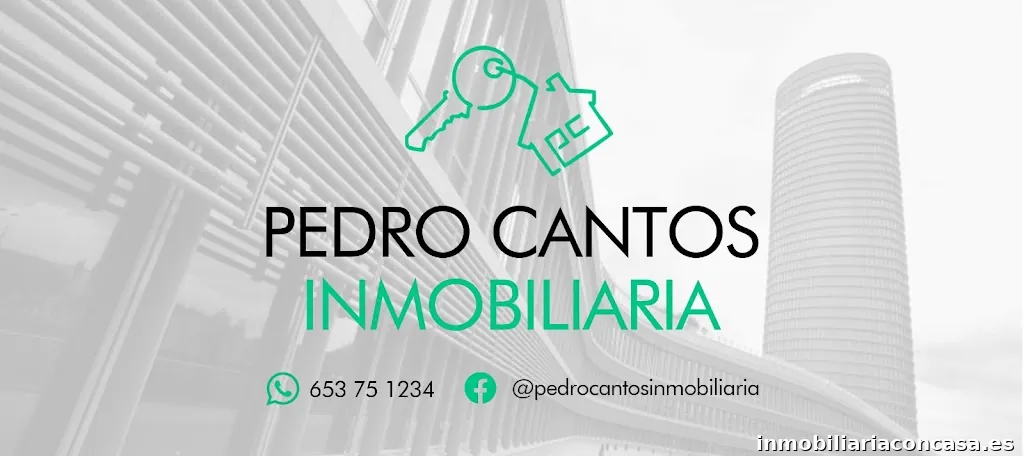 Pedro Cantos Inmobiliaria