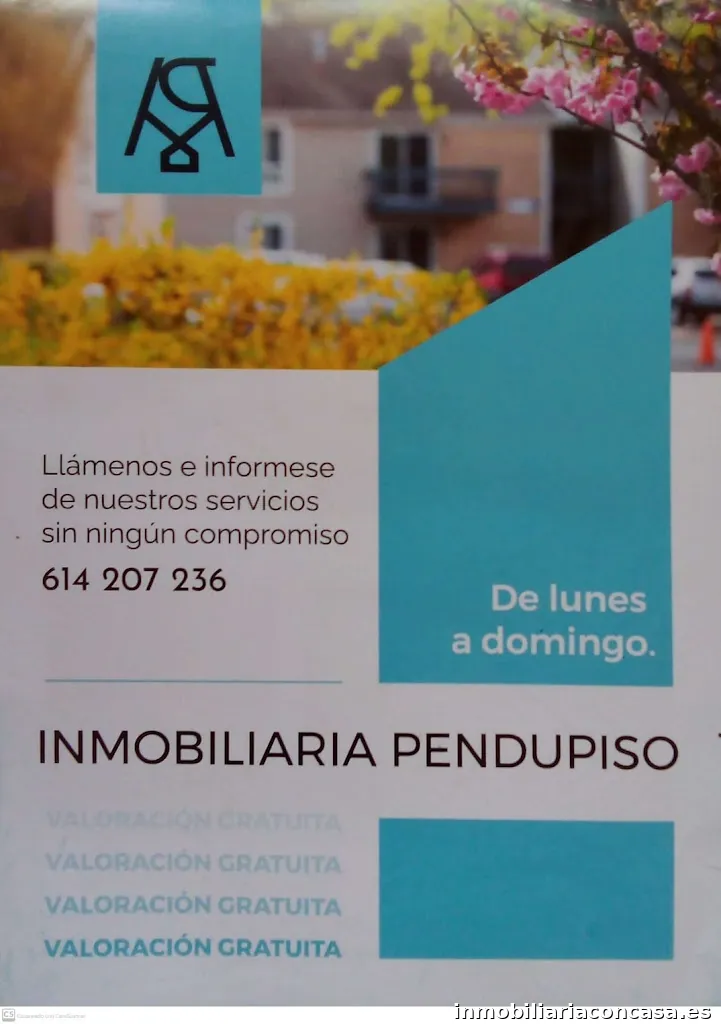 Inmobiliaria Pendupiso