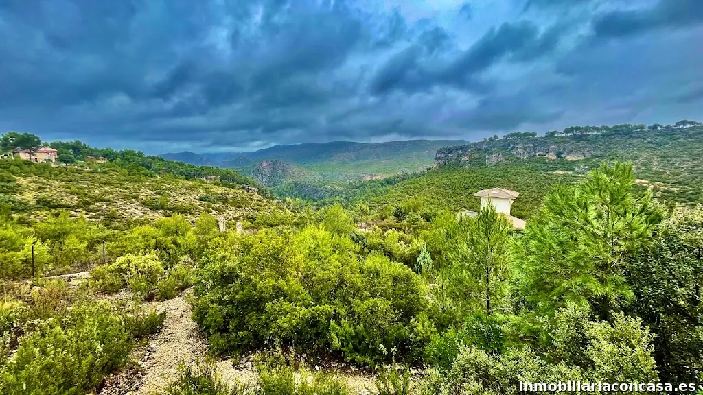 Distrito 44 - Inmobiliaria